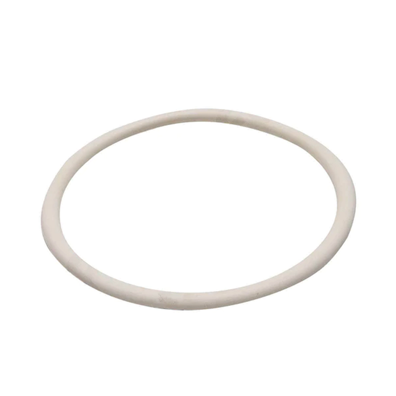 Guarnizione Antiolio